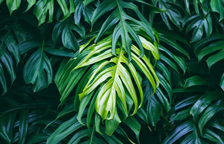 AS Home Composting Certificate