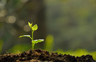 AS Home Composting Certificate